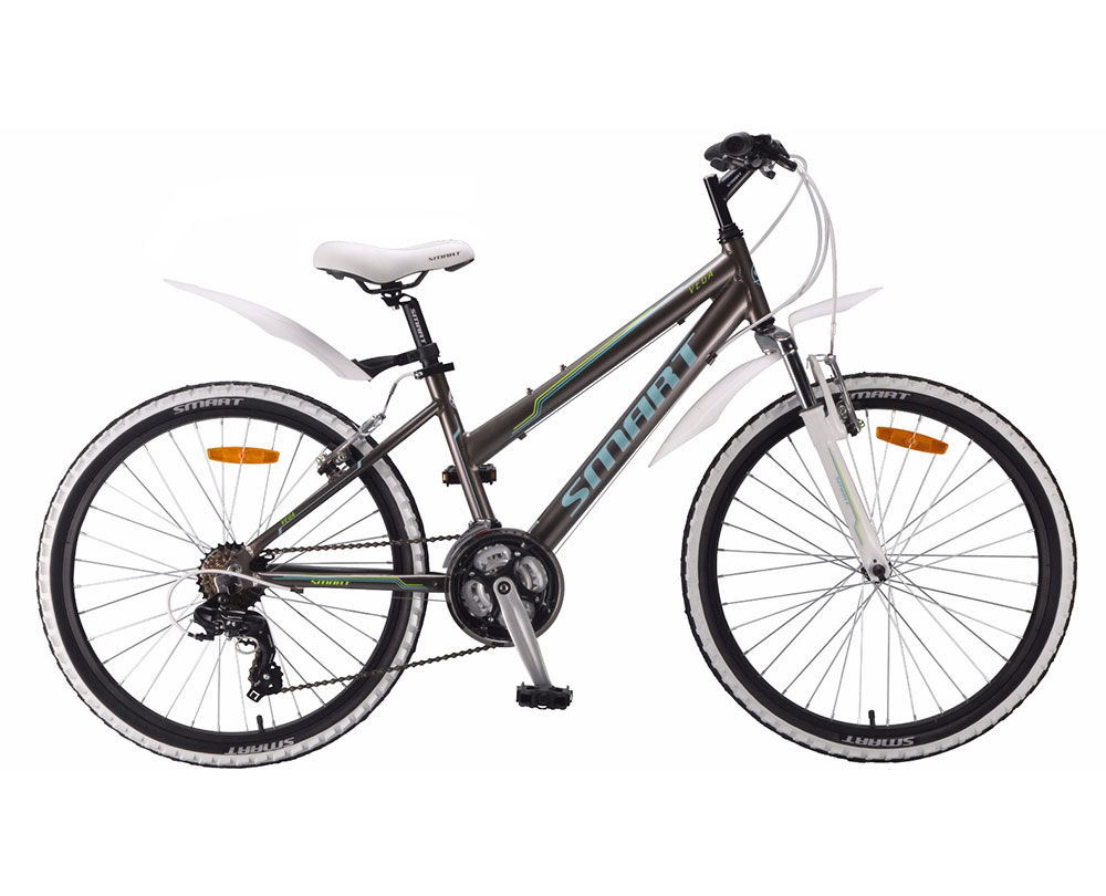 Велосипед Smart Vega 24 светло серый рост 16 (в комплекте с защитой цепи)